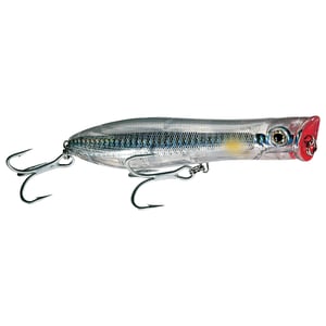 Tsunami Talkin' Popper Topwater Lures