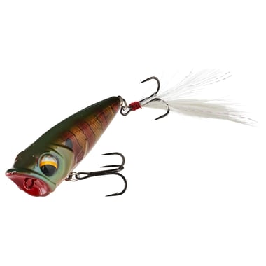 XPS Bass Pro Shops XPS Popper